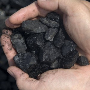 В ЛНР конфисковали незаконно добытый уголь