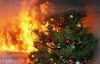 Шишка дымится - деньга испарится: Почему нельзя сжигать новогоднюю ёлку