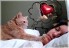 Коту не спится - любовь случится: Почему питомец мешает хозяевам спать