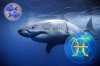 27 февраля для Рыб: Гороскоп советует Зодиаку «стать акулой»