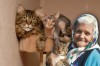 Замедлить старость котом: Названы 3 породы кошек, омолаживающих владельцев