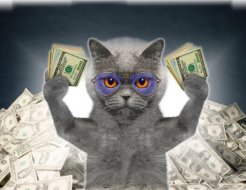 Намяукают денег: Как серые коты помогают хозяевам
