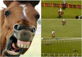 Не говори «гоп»! На скачках в Британии лидер гонки внезапно проиграл из-за «бешенства» лошади