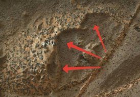 Марс гниёт: NASA нашло опасную «ржавую» плесень на красной планете