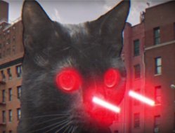 Физики создали армию летающих лазерных котов Шрёдингера