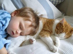 Мурлыка-воспитатель: Гиперактивного ребёнка успокоит домашний кот
