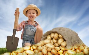 Конкурс красоты «Идеальная лунка»: Эко-фитнес и игра заставят ребёнка полюбить посадку картофеля