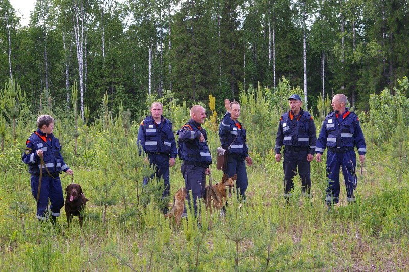 Лес поиск. Спасатели в лесу. Спасатели МЧС В лесу. Спасатели ищут в лесу. МЧС ищет людей в лесу.