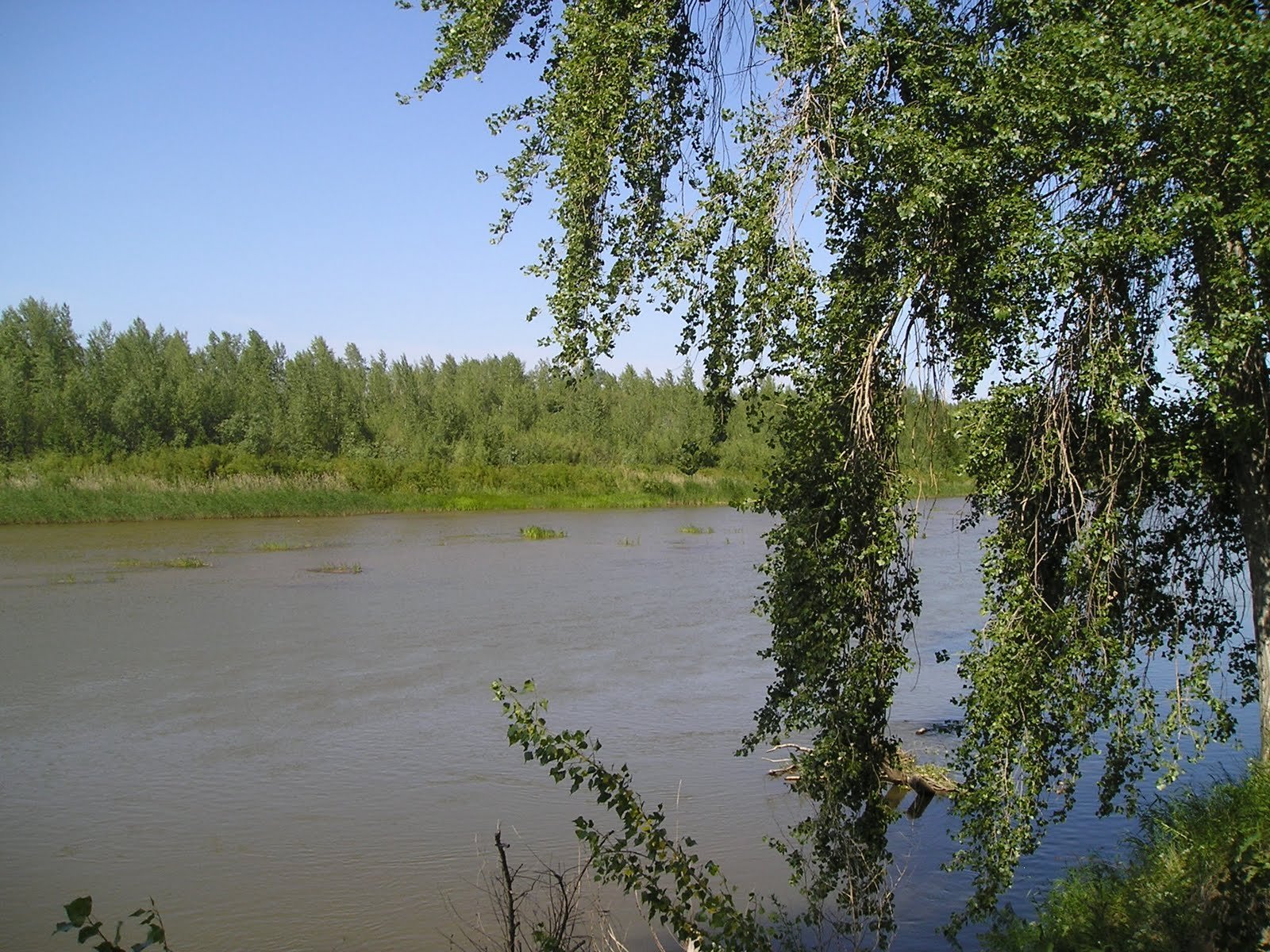 Какой уровень урала в илеке