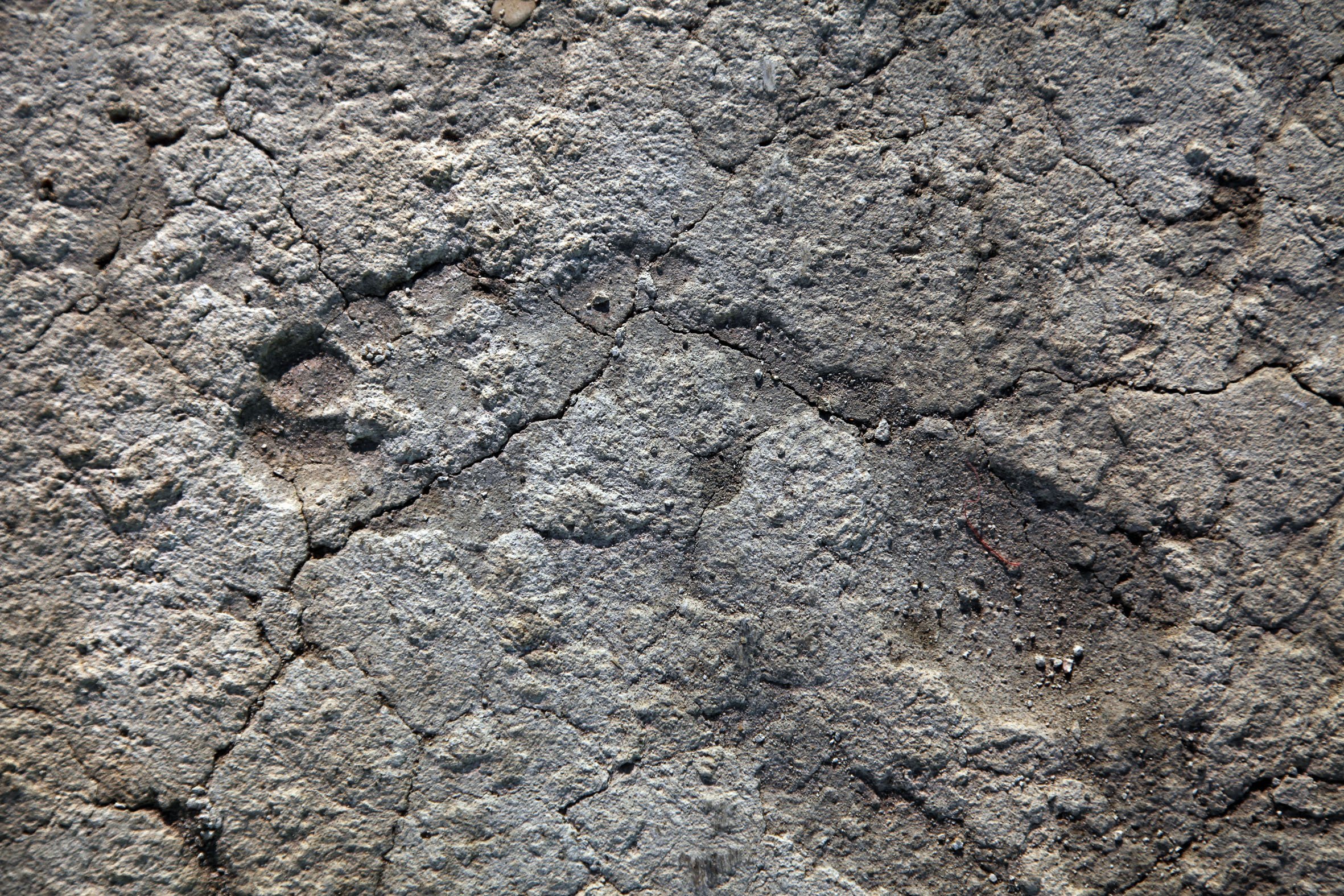 Окаменелые следы. Следы древние на Крите фото. Следы человека возрастом 3.75 млн лет - кто их оставил?.