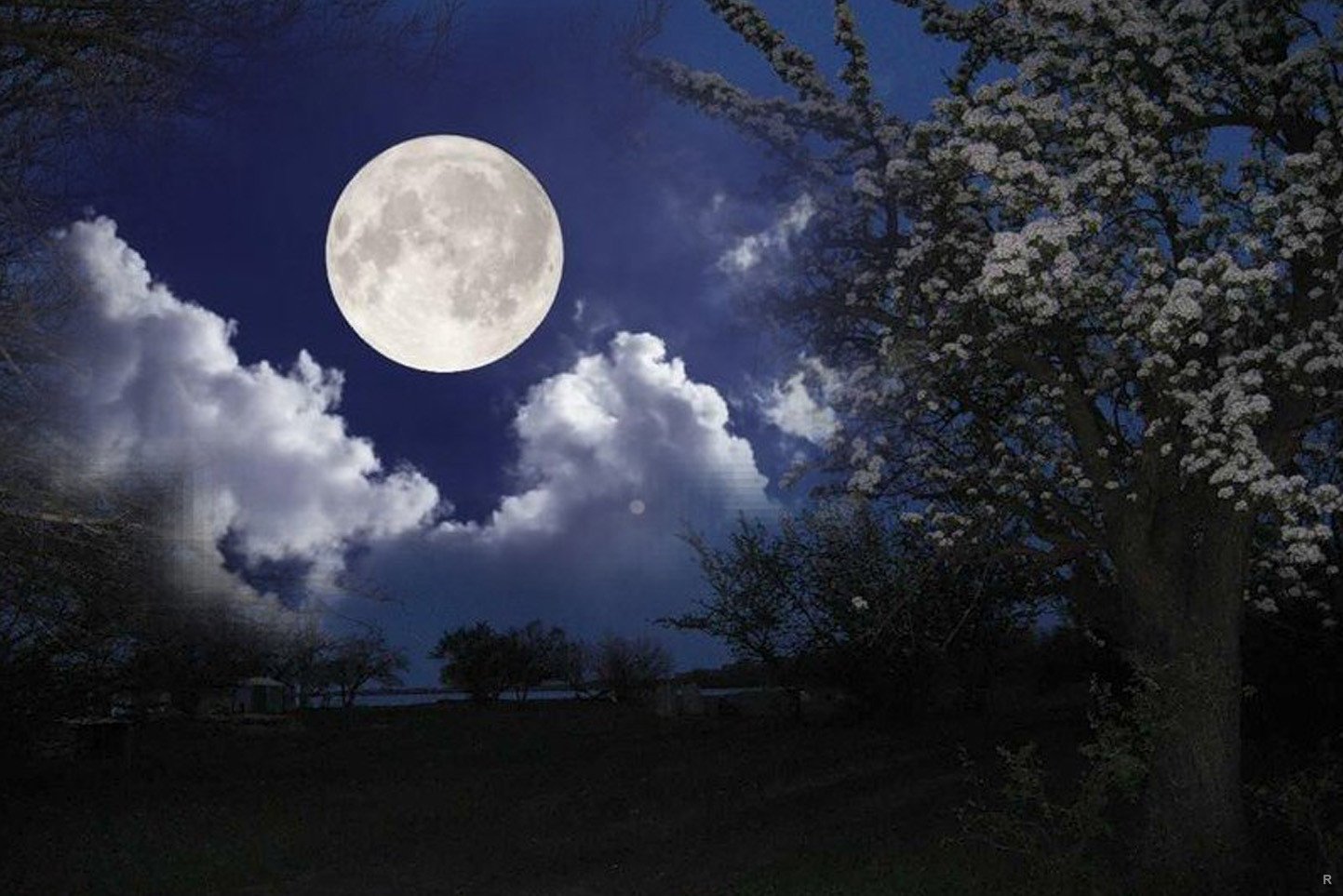 Полнолуние. Ясная Луна. Полнолуние полночь. Лунная Весенняя ночь.