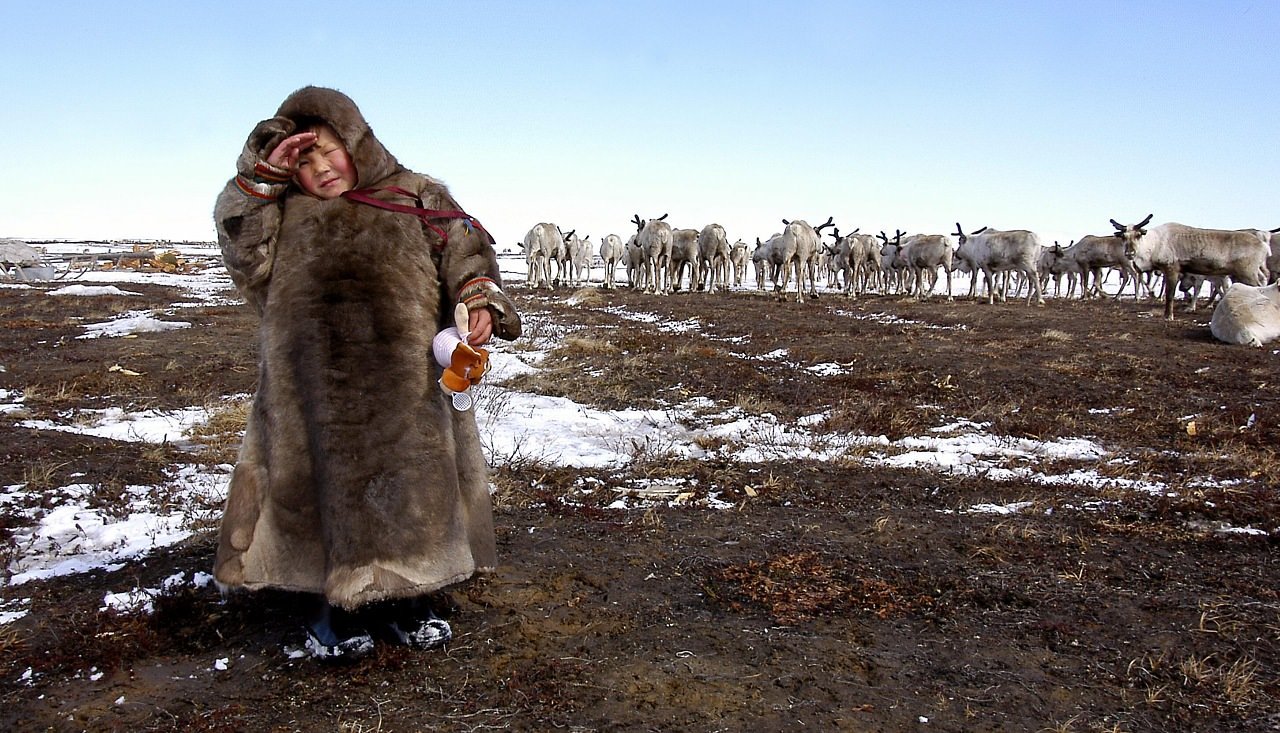 Народ ушедший под землю в ненецких легендах. Женщина в тундре. Ямал люди севера. Якуты собирательство. Приуральская тундра.