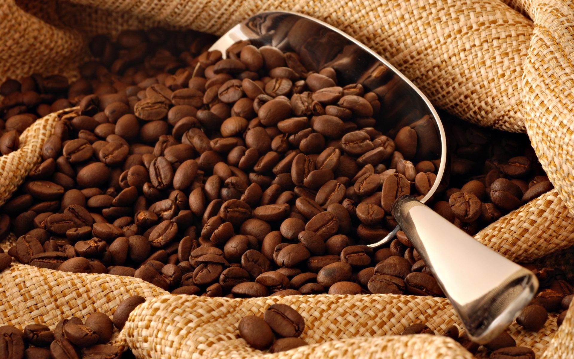 Кофе. Кофе в зернах. Кофейные зерна. Кофе «зерновой». Натуральный кофе.