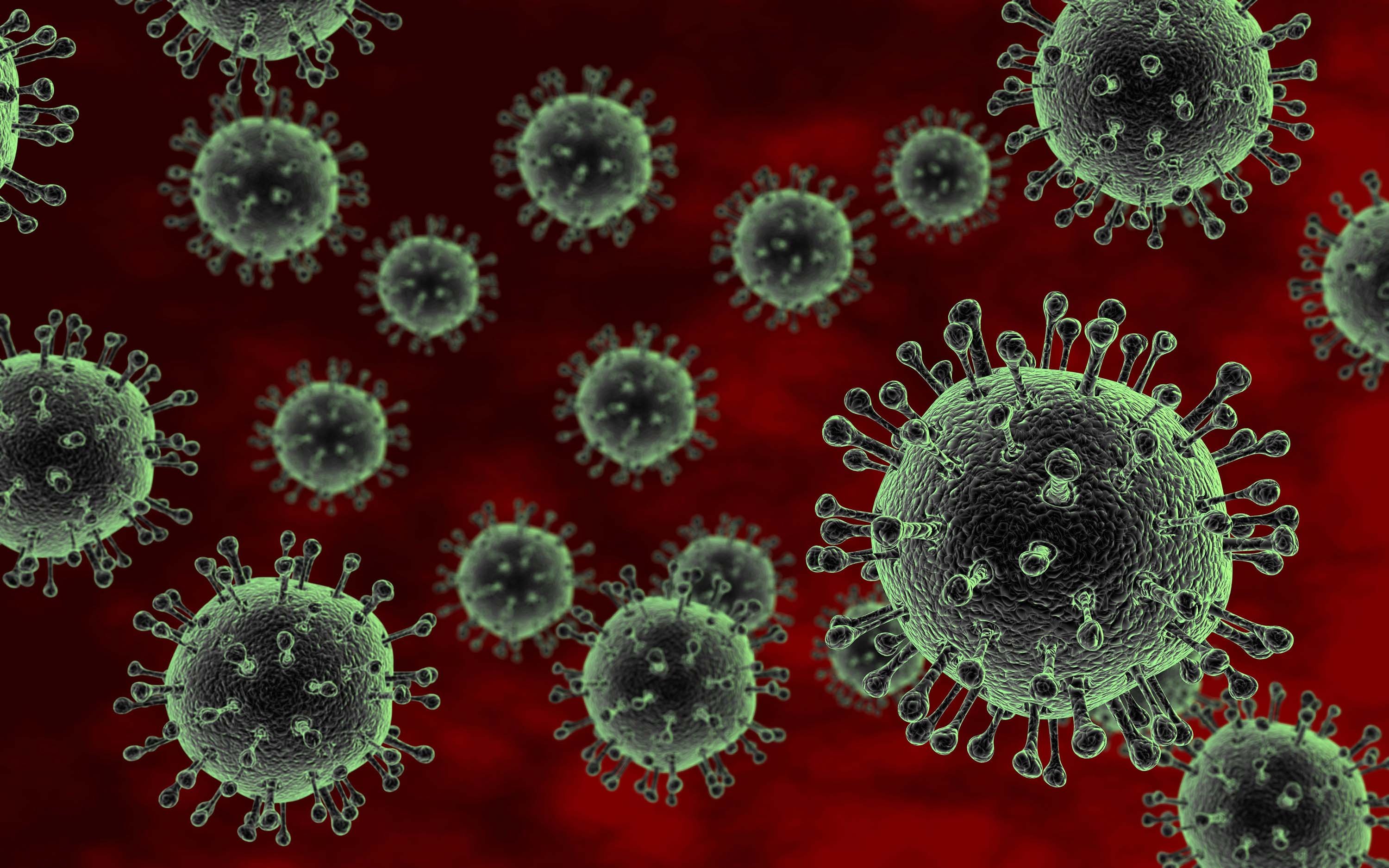 Грипп вызывают бактерии. Вирус коронавирус. Вирус гриппа h5n1. H5n1 коронавирус.