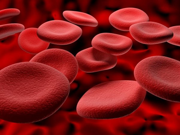 https://versiya.info/uploads/posts/2018-06/medium/1528293992_red-blood-cells-representing-ways-to-increase-hemoglobin-levels.jpg