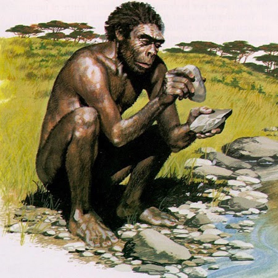 Почему одного из предков назвали человеком умелым. Хомо сапиенс питекантроп. Хомо хабилис австралопитек. Человек умелый и питекантроп. Австралопитек и неандерталец.
