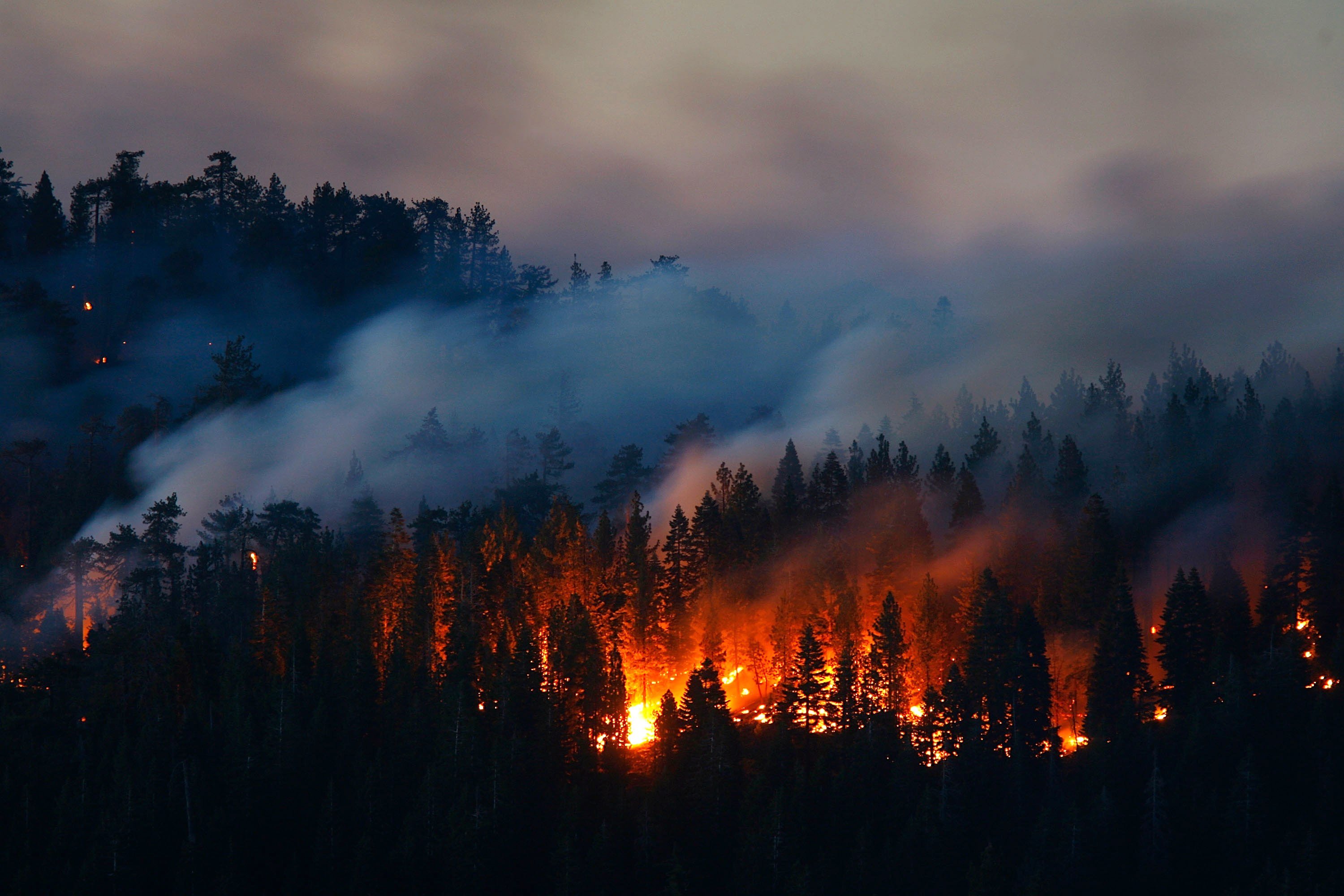 Огни пожарищ. Пожар в лесу. Природные пожары. Лес в огне. Горящий лес.