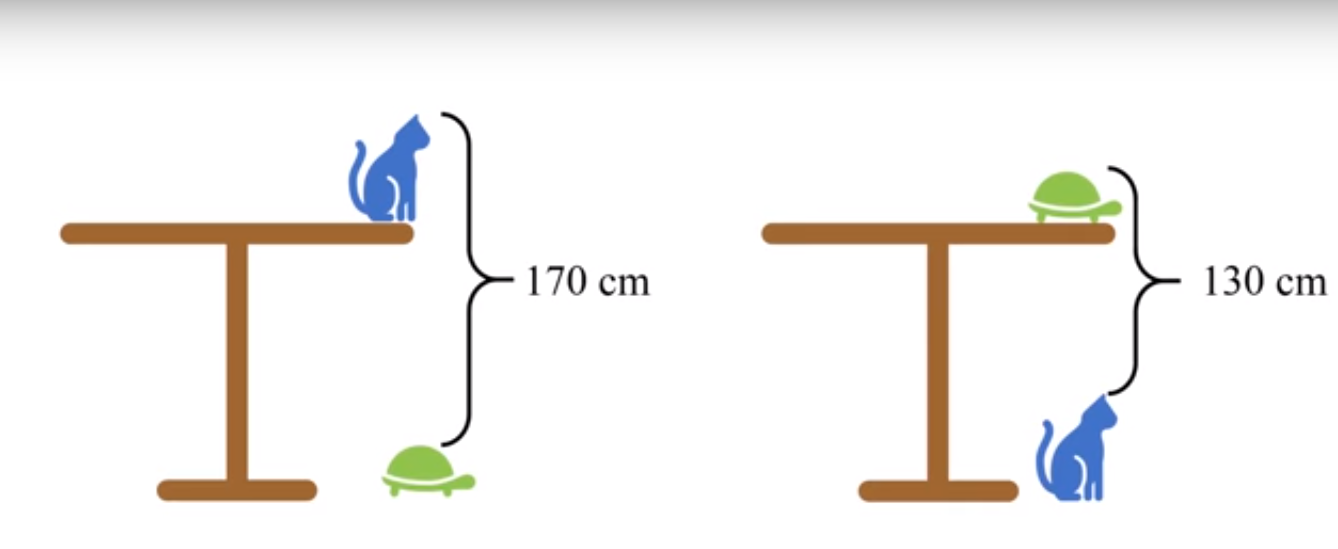Реши задачу китай. Задача про стол кота и черепаху. Задача про кошку и черепаху на столе. Задача высота стола кот черепаха. Решение задачи про высоту стола с котом и черепахой.