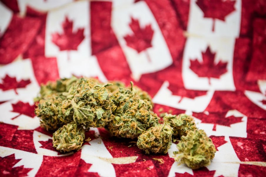 разрешенные наркотики в канаде