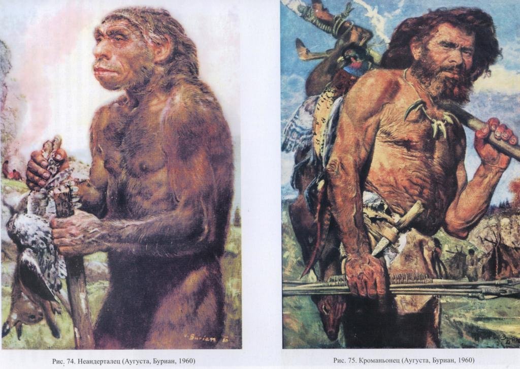 Неандертальцы предки кроманьонцев. Хомо сапиенс кроманьонец. Современные люди Неоантропы кроманьонцы. Неандерталец и кроманьонец. Древний человек неандерталец кроманьонец.