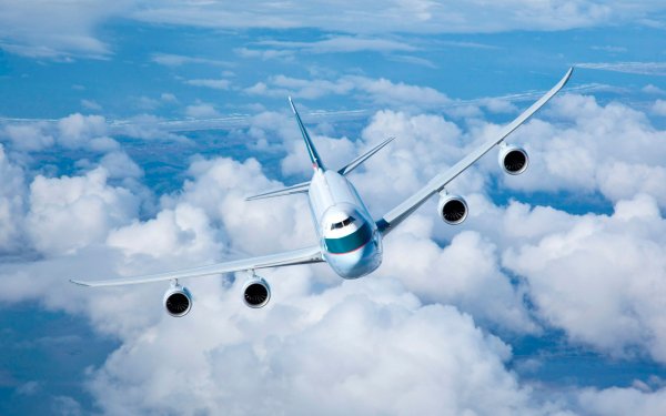 Крупнейший в мире самолёт экстренно приземлился в Домодедово
