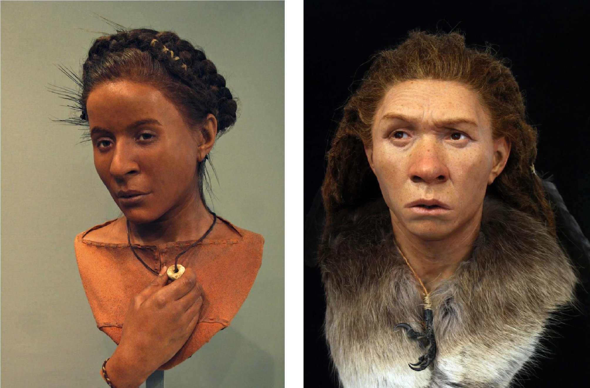 Реконструкция облика древних женщин