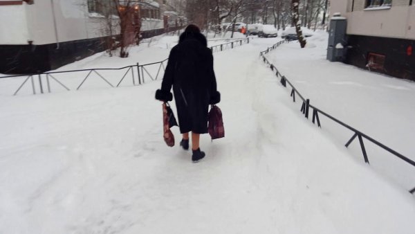 Петербургских учителей заставили выйти на уборку снега в выходной день
