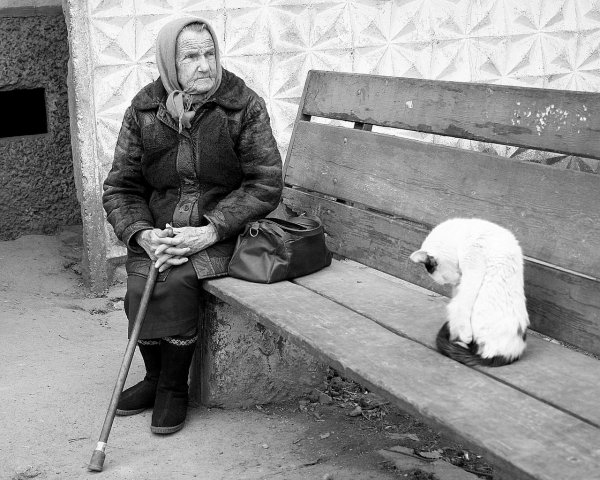 Пенсионный фонд назвал средний размер пенсии украинцев
