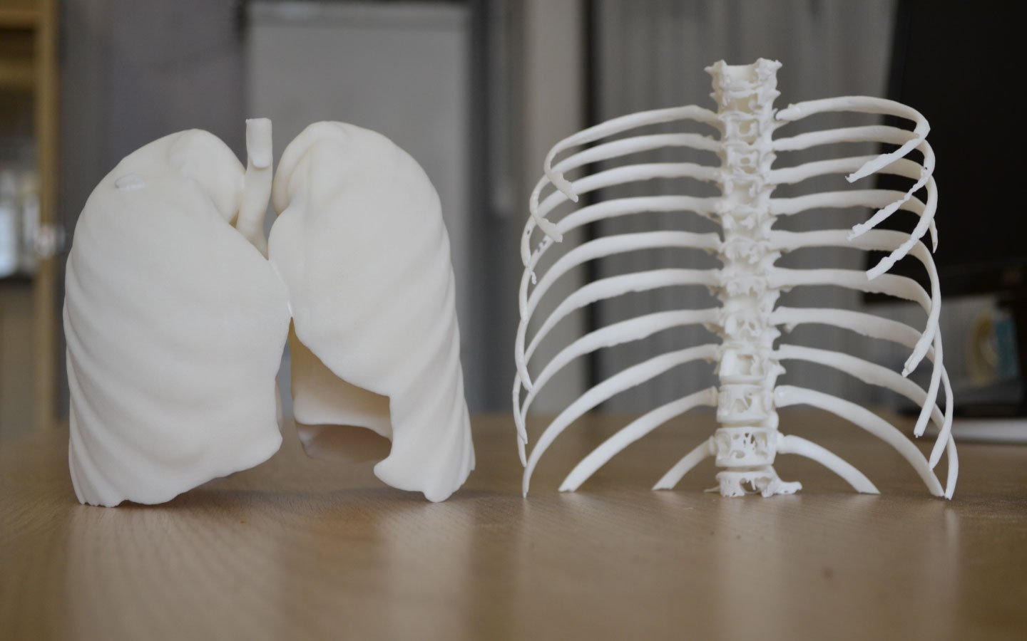 Bones model. Печать костей на 3d принтере. Макеты для 3д принтера. Кость на 3д принтере. 3d печать в медицине.