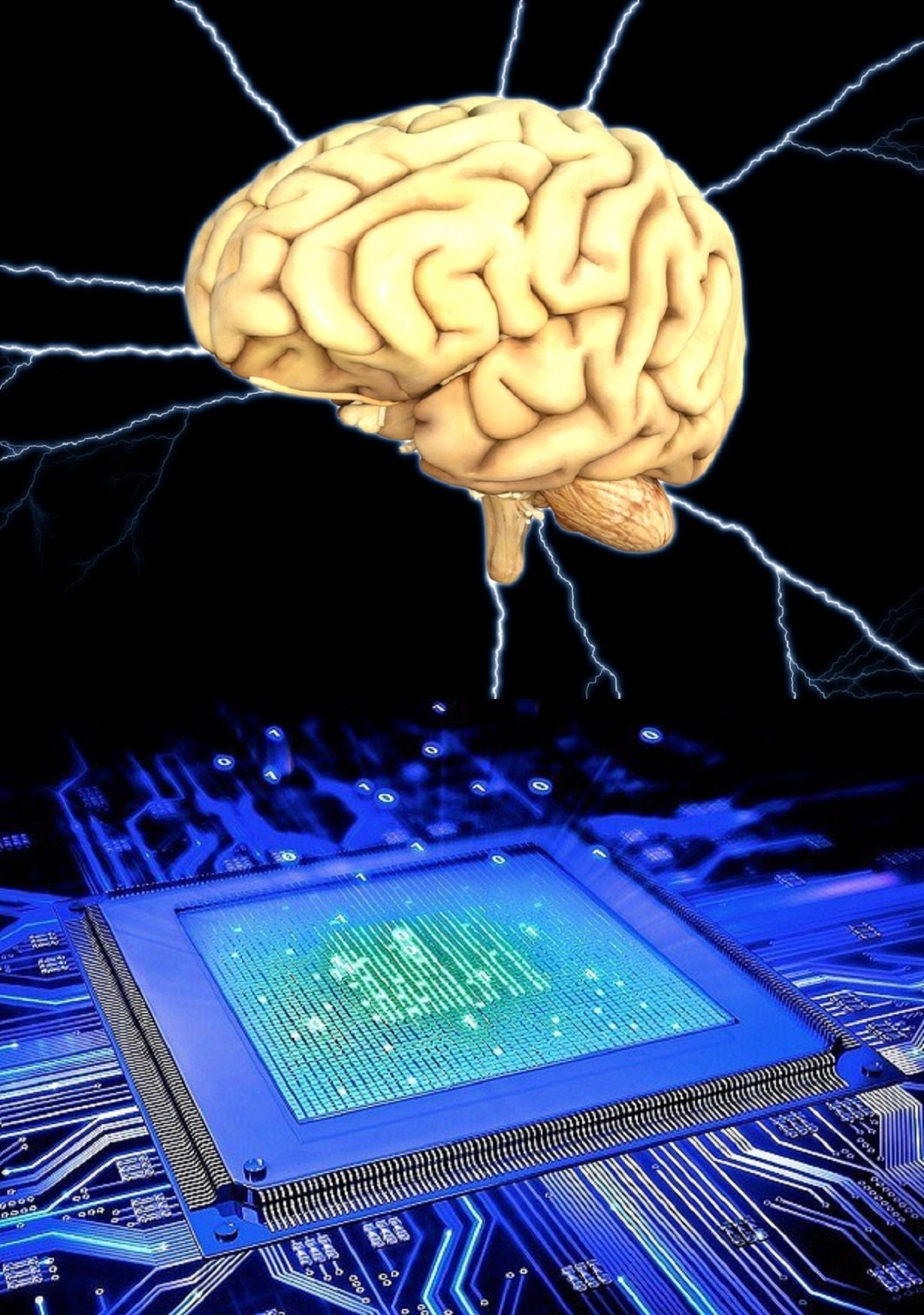 Человеческий мозг и компьютер