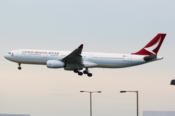 Птица-камикадзе: на Тайване экстренно сел пассажирский самолёт  соцсети