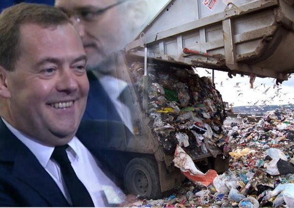 Мусор до горизонта: Указ Медведева о свалках может отравить жизнь российских городов