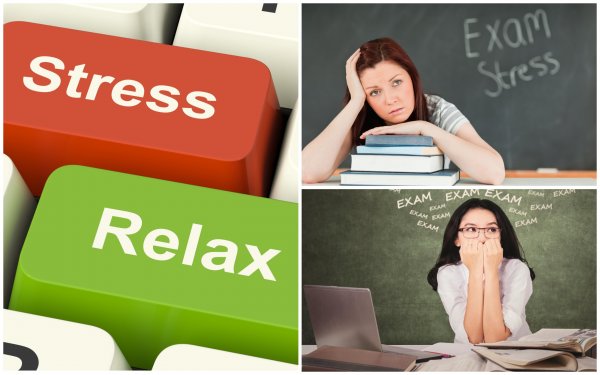 Стресс экзамену не помеха! Психологи дали 8 простых советов избавления от тревоги