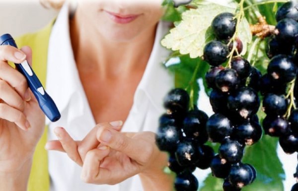 Медики назвали лучший фрукт для диабетиков