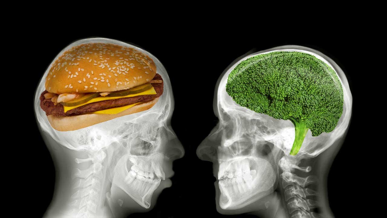 Едят ли мозг человека. Питание для мозга. Психология еды. Пища для разума. Вредные продукты для мозга.