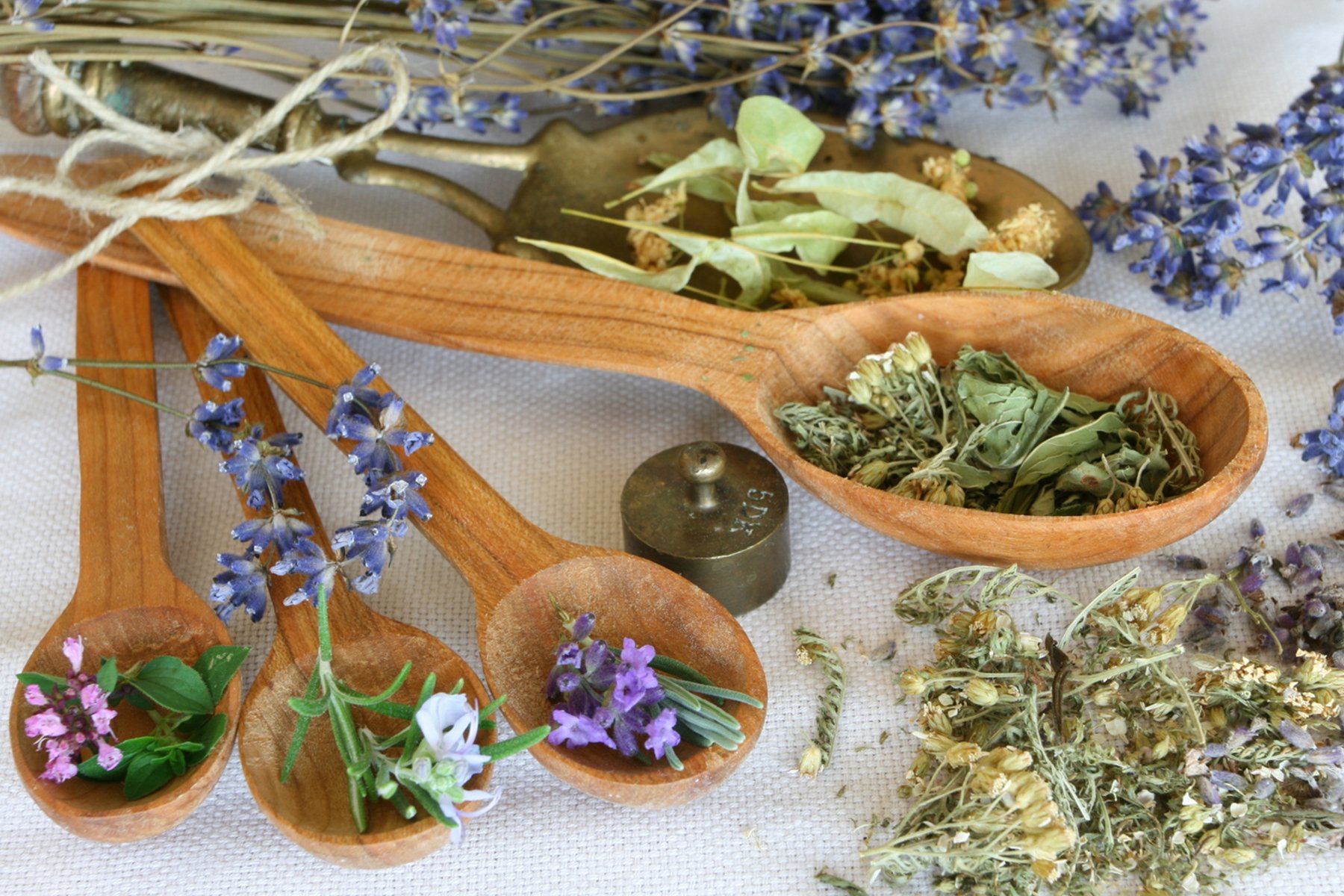 Народная медицина рук. Лекарственные травы. Целебные травы. Отвар трав. Настои из лекарственных растений.