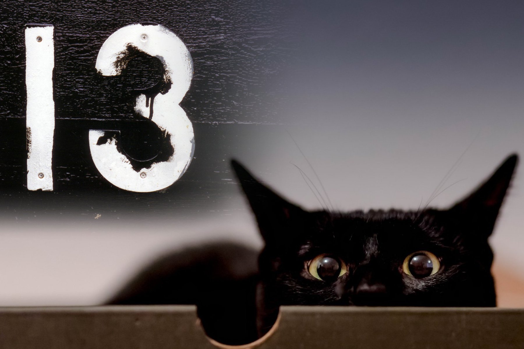 Суеверия. Пятница 13 суеверия. Пятница 13 кошки. Пятница, 13 число.