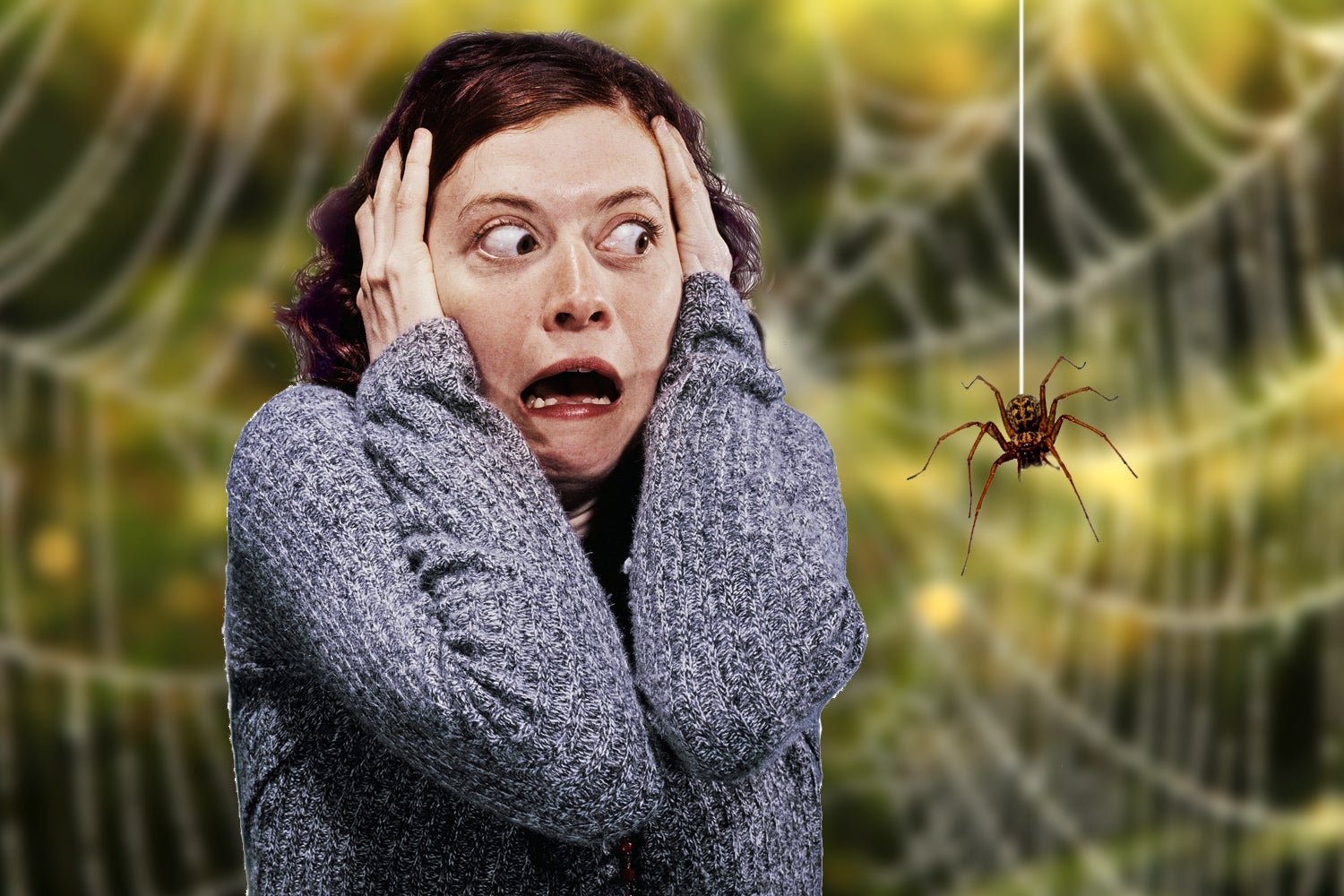 People are scared. Арахнофобия страх пауков. Арахнофобия это боязнь пауков. Девушка боится паука.