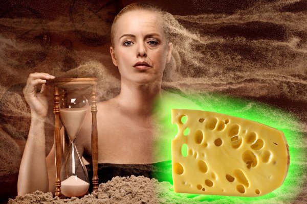 Нидерландский сыр для вечной молодости: Дырявое лакомство признано источником долголетия