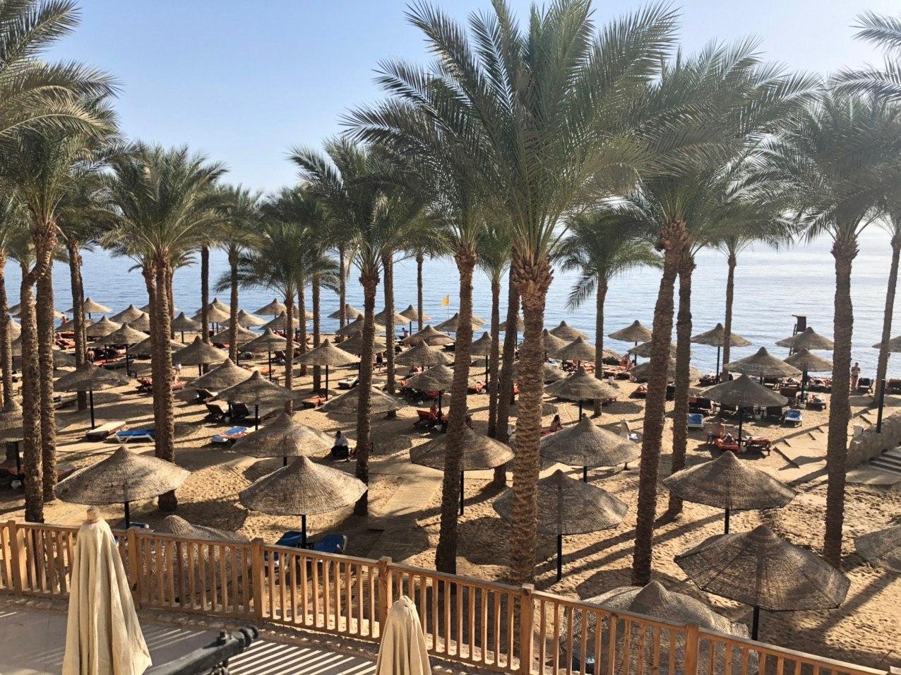 Шарм эль шейх погода сейчас на 14. Египет шармаль Шейх. Пляжи шармаль шейха. Шарм Эль Шейх оградили стеной. Египет Голливуд шармальшейх.