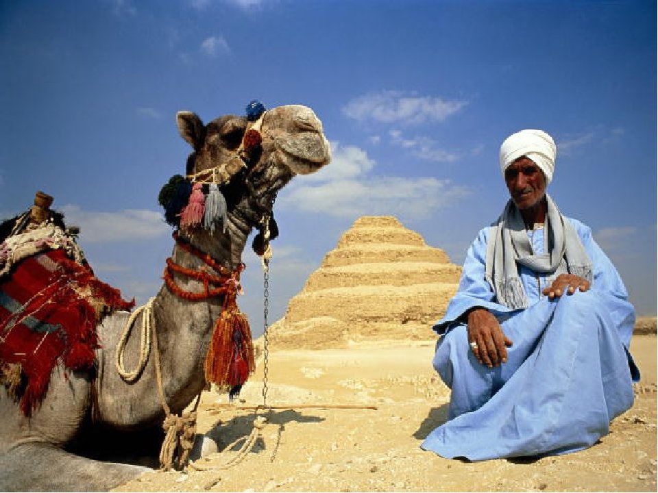 Египет население. Египетские бедуины. Бедуины в Египте. Бедуин Катара. Бедуины и феллахи.