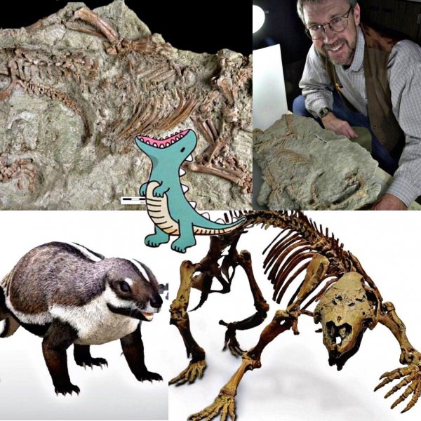 Палеонтологи открыли новый вид динозавра со странными зубами