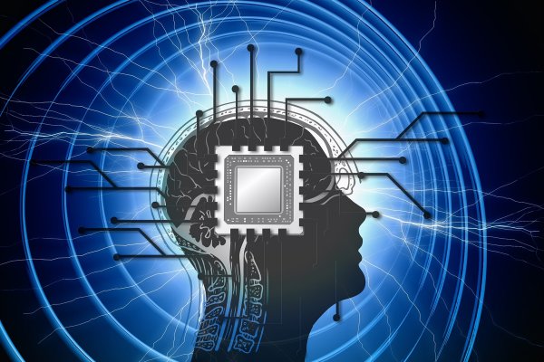 Нижегородские ученые рассказали о разработке мозг на чипе