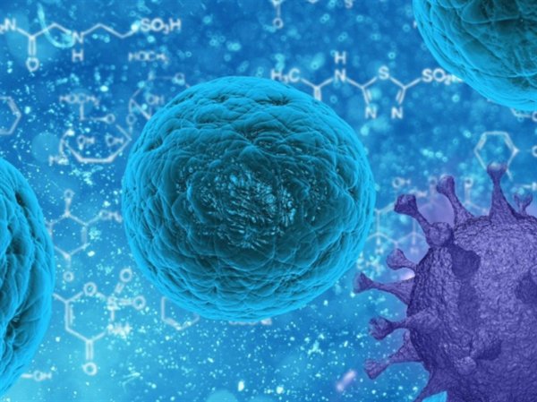 Учёные исследуют лекарство от рака против коронавируса