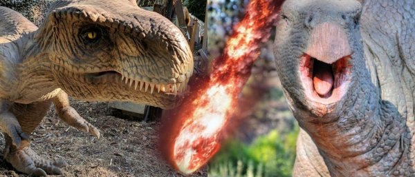 Геологи выяснили под каким углом упал астероид, уничтоживший динозавров