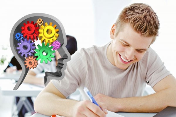 Три полезные привычки, которые «прокачают» память перед экзаменами