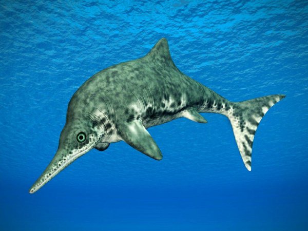 Палеонтологи из США обнаружили останки беременной самки ихтиозавра