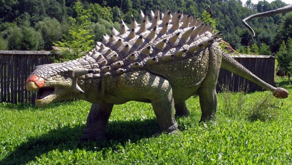 Петербургские учёные сообщили о системе охлаждения мозга у динозавров