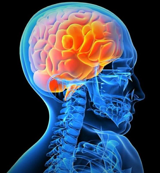 Учёные создали новый способ диагностирования заболеваний мозга