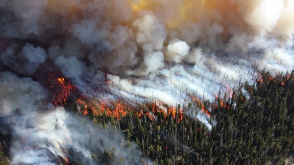 Врач: Лесные пожары могут сказаться на здоровье переболевших COVID-19